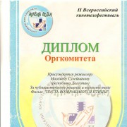 Достижения Союза кинематографистов.30