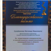 Достижения Союза кинематографистов.31